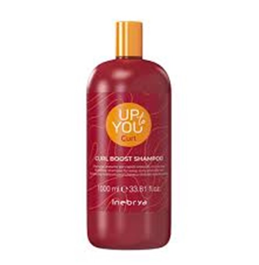 Picture of INEBRYA CURL BOOST SHAMPOO